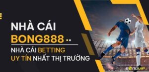 Bóng888 - Giới thiệu nhà cái cá cược hot nhất hiện nay