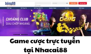 Nha cai 88 .net - Thiên đường cá cược cực đỉnh tại Bong88