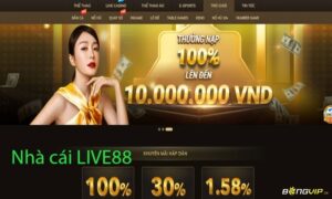 Live88 - Thiên đường cá cược hấp dẫn nhất hiện nay