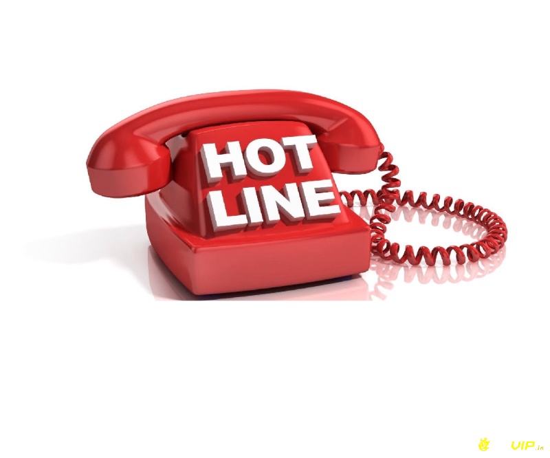 Số hotline bong88 giải quyết nhiều vấn đề của người dùng