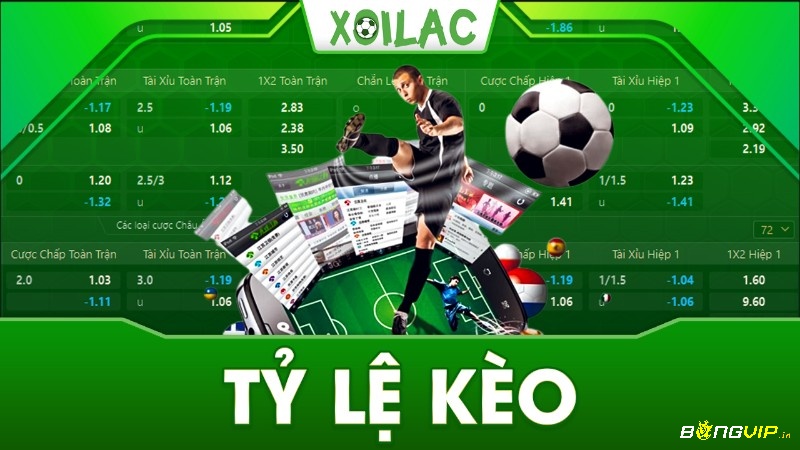 Khái niệm về Ty le keo ibet