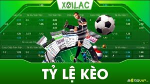 Ty le keo ibet - 5 tỷ lệ kèo cược phổ biến nhất nên biết