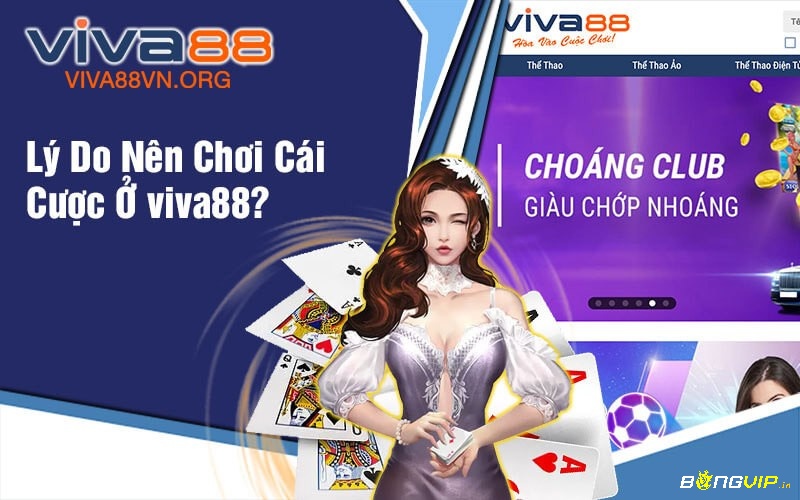 Tổng hợp những ưu điểm nổi bật tại nhà cái Viva 88