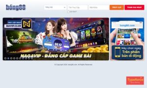 Viva bong88.net.vn - Nơi cược thủ thỏa mãn đam mê mỗi ngày