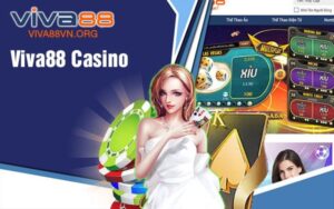 viva88.com - Nơi hội tụ những game cược hot nhất hiện nay