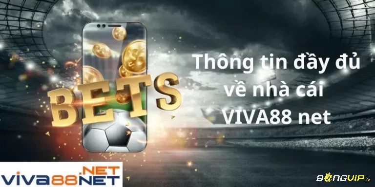 Nhà cái viva.net bong da đẳng cấp nhất hiện nay