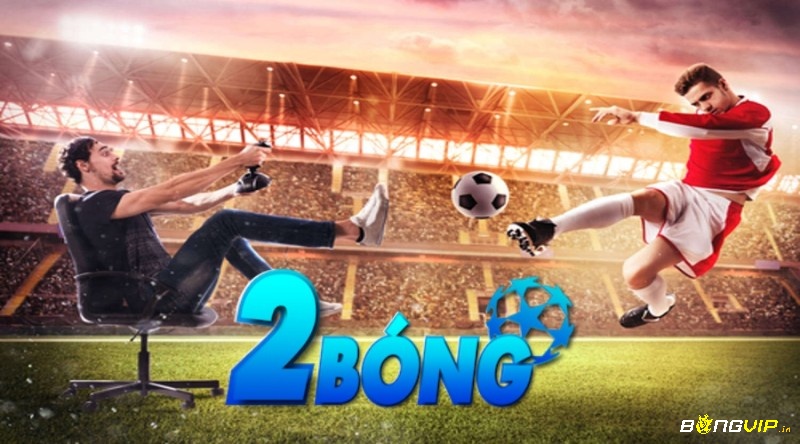 2Bong vom – Nhà cung cấp link cá cược uy tín hàng đầu