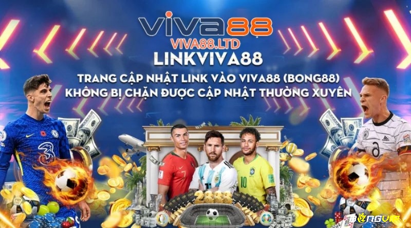 Giao diện Bong Viva88.com sử dụng màu sắc nhẹ nhàng hình ảnh sống động