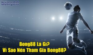 www bong88 com - Trang web cá độ uy tín & phổ biến hàng đầu