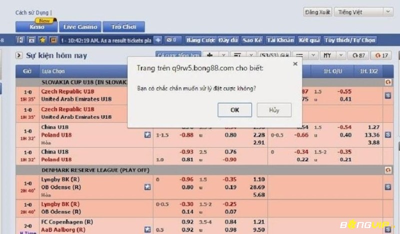 Nhấn OK để xác nhận đặt cuoc banh 888 net
