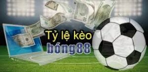 Ty le bong da 88: Top 3 nhà cái kèo bóng 88 uy tín nhất Việt Nam