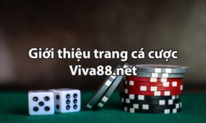 www viva 88 - Khám phá thế giới giải trí và cơ hội thành công