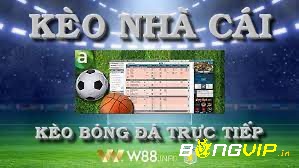 Soi kèo nhà cái w88 hôm nay cùng với bongvip ngay thôi nào.