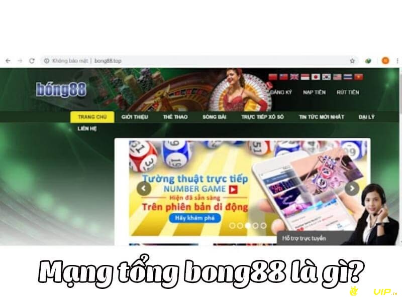 Tong Bong88 - Cách lấy mạng tổng Bong88 dễ dàng  