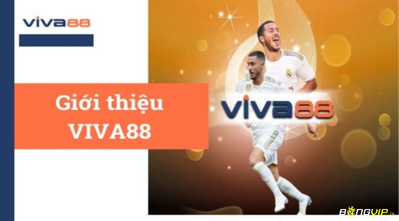 Viva 88. Net – Thiên đường cá cược đỉnh nhất hiện nay