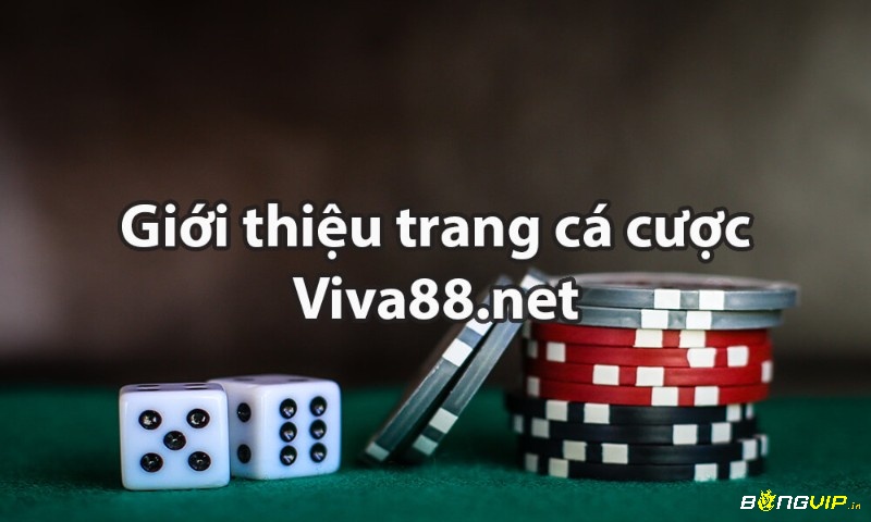 Review trang cá cược www viva 88