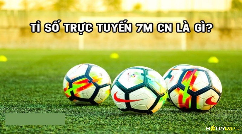 7M CM ty so truc tuyen cập nhật kết quả bóng đá nhanh chóng