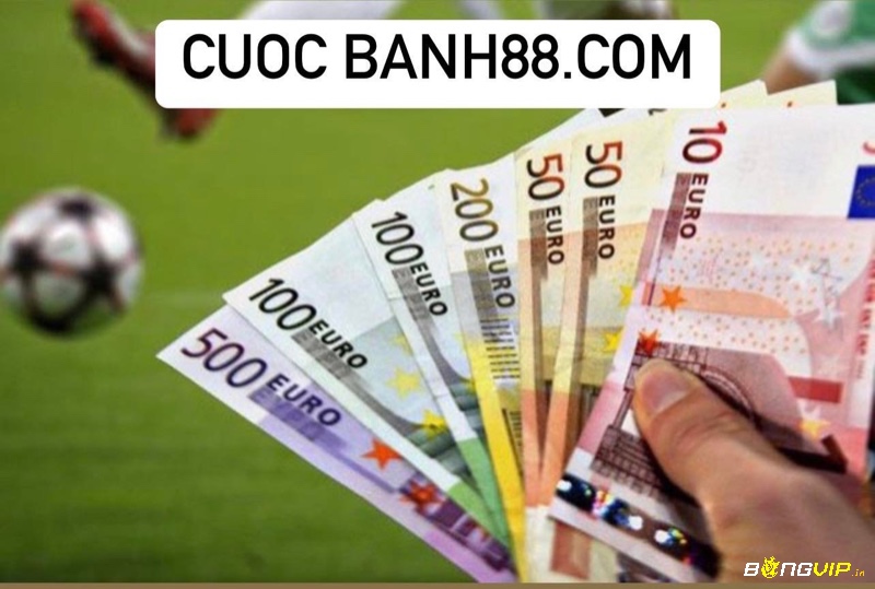 Cuoc banh88.com là website cược chất lượng top đầu hiện nay