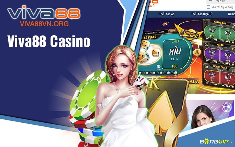 Vina.88net Sân chơi đa dạng cho game thủ và người yêu thể thao