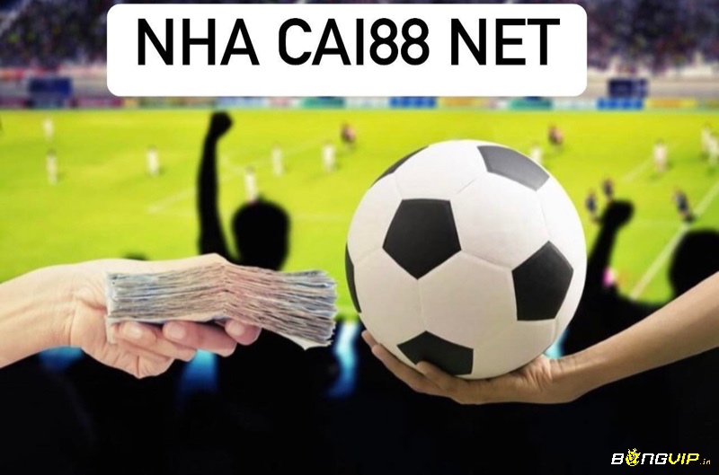 Nha cai88 net là website cá cược đảm bảo chất lượng hàng đầu 