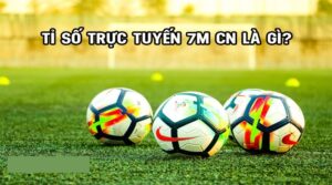 7M CM ty so truc tuyen cập nhật kết quả bóng đá nhanh chóng