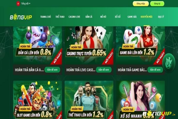 BONGVIP88 cung cấp nhiều sản phẩm cá cược đa dạng cho người chơi