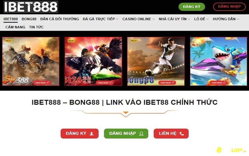 Sản phẩm trên ibet88 rất đa dạng và phong phú