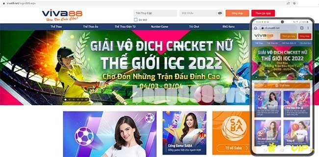 Kho sản phẩm vô cùng phong phú và hấp dẫn của Bong88 Viva