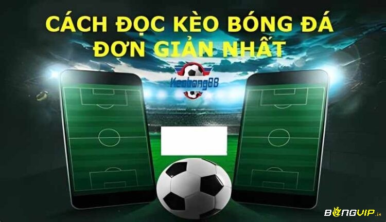 Cách độc kèo bóng đá tại Keo Bongvda 88 rất đơn giản