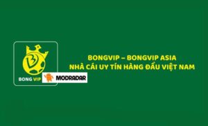 Kèo nhà cái. cơm - BONGVIP kèo cược thể thao cạnh tranh nhất