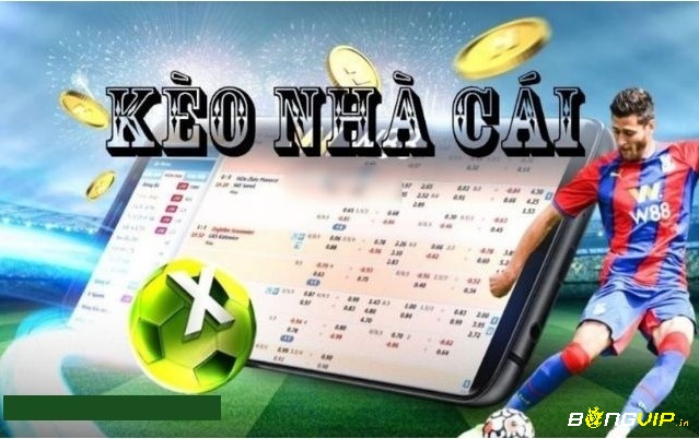 Keo nha cai.cơm cung cấp cho bet thủ nhiều loại kèo cược uy tín