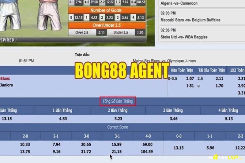 Angent là chủ bóng hay tổng mang Bong88