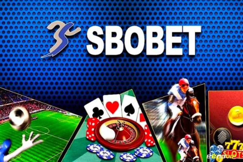 Sbobet là nhà cái uy tín, đảm bảo an toàn để cá cược