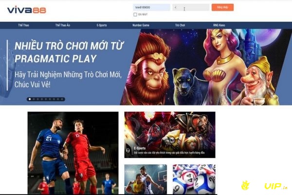 Các game cá cược đỉnh cao có tại Viva Bong88