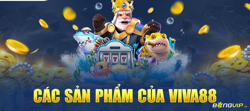 Sản phẩm cá cược hot nhât tại Viva88 net Viva88 net