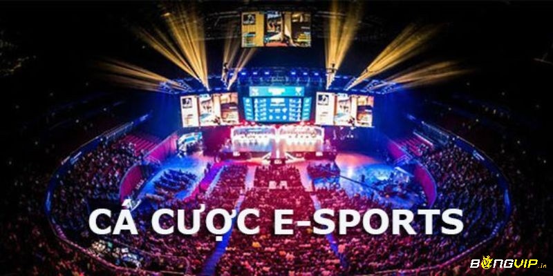 Cá cược Esport Bong88 com Ibet cực kỳ chuyên nghiệp