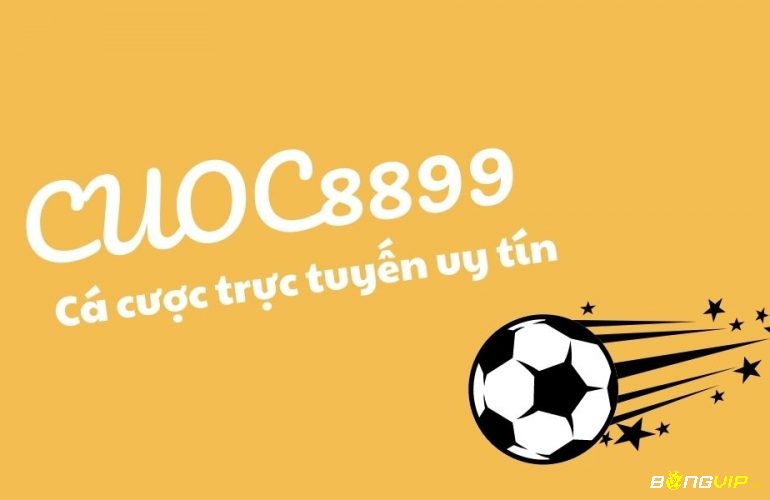 Giới thiệu đôi nét về cược 8899.net