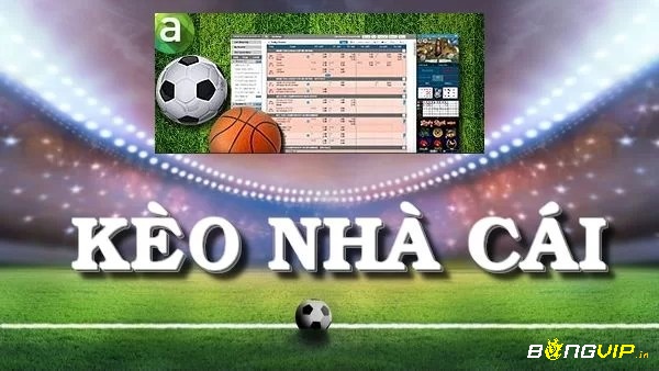 Keo nha cai 888 cung cấp đa dạng các loại kèo cho người chơi cá cược trực tuyến