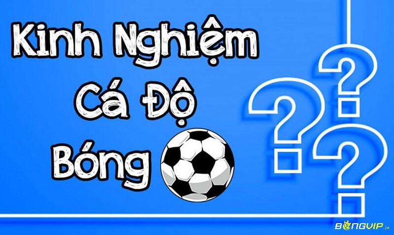 Kinh nghiệm cá độ đá bóng dành cho tân thủ tại nha cai .net