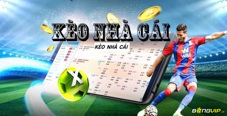 Nha cai .net chuyên cung cấp tỷ lệ kèo nhà cái trực tuyến, nhanh chóng