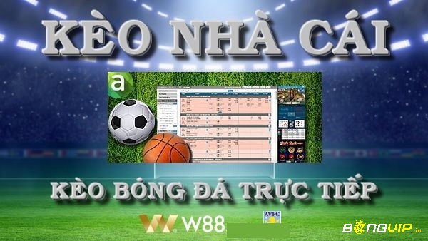 Ty le keo W88: Tỷ lệ kèo nhà cái uy tín và chính xác