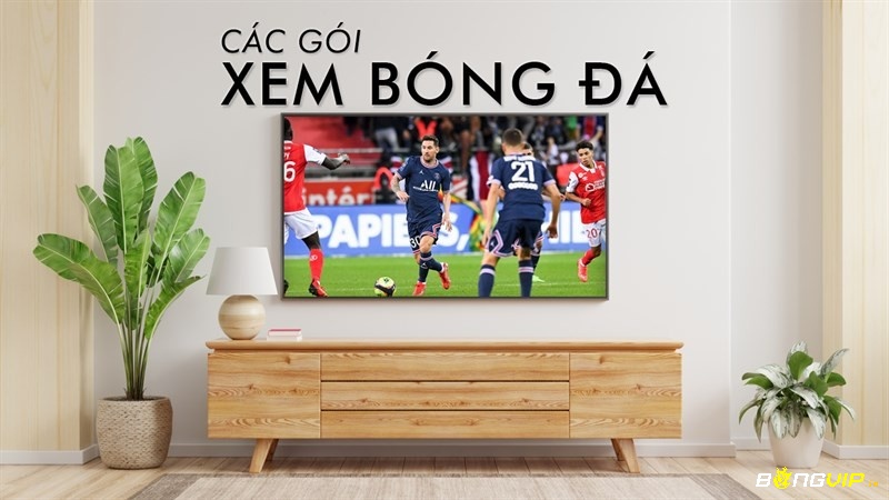 Xem bong da VIP là dịch vụ xem trực tiếp các trận đấu bóng đá với chất lượng cao và độ phân giải tốt