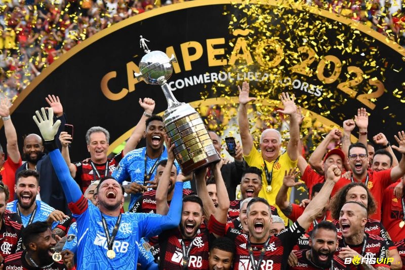 Giải đấu bóng đá Copa Libertadores