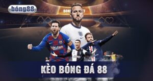 Bong 88 keo: Tổng hợp những loại kèo phổ biến nhất