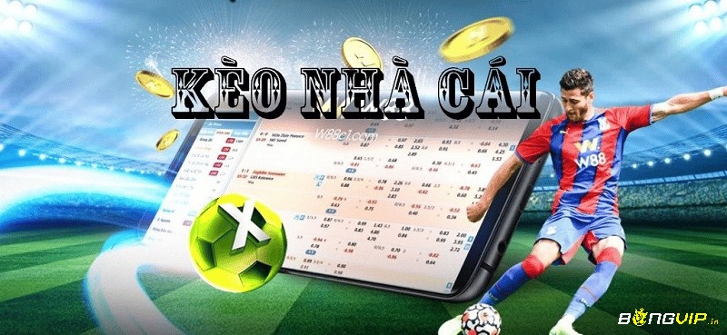 Theo dõi các loại kèo nhà cái