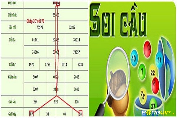 Hoạt động soi cầu chốt số lô hiệu quả áp dụng ra sao?