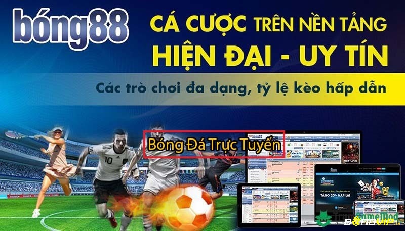 Chi tiết thực hiện các bước tham gia vào nền tảng bong88 trải nghiệm bóng đá