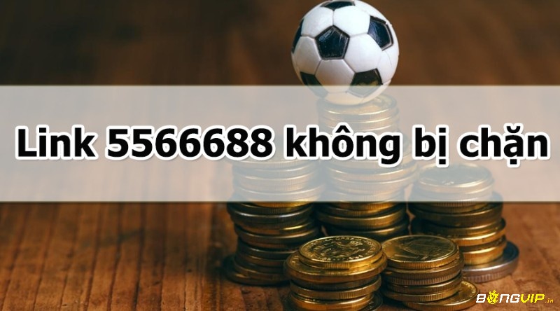 www5566688net là một trong những lựa chọn thay thế cho nhà cái Bong88