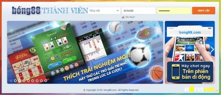 55666688com hỗ trợ chuyên nghiệp cho cược thủ