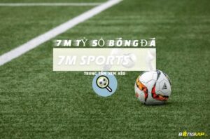 7Msport live score – Website cập nhật thông tin bóng đá uy tín